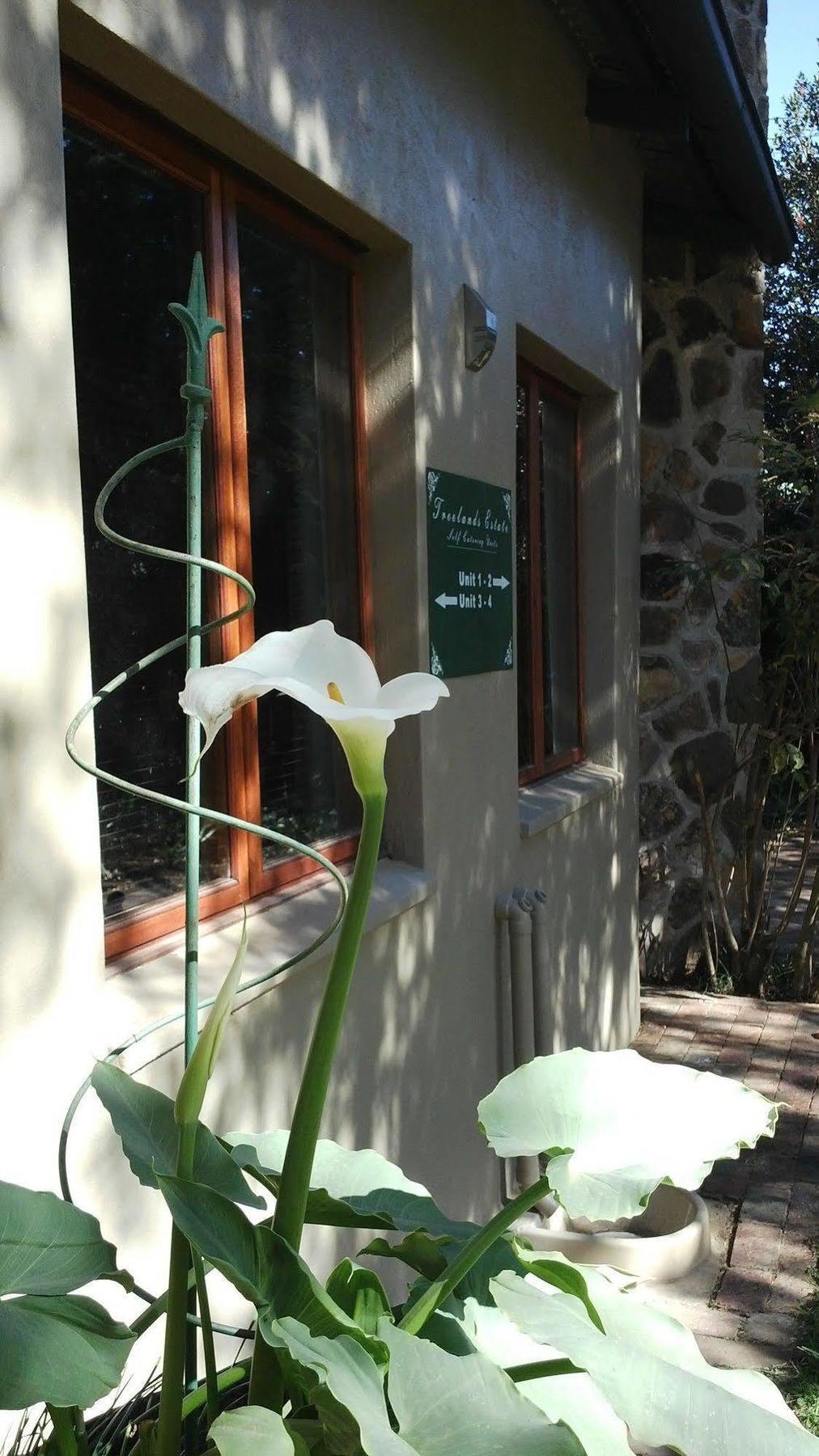 Treelands Estate דלסטרום מראה חיצוני תמונה